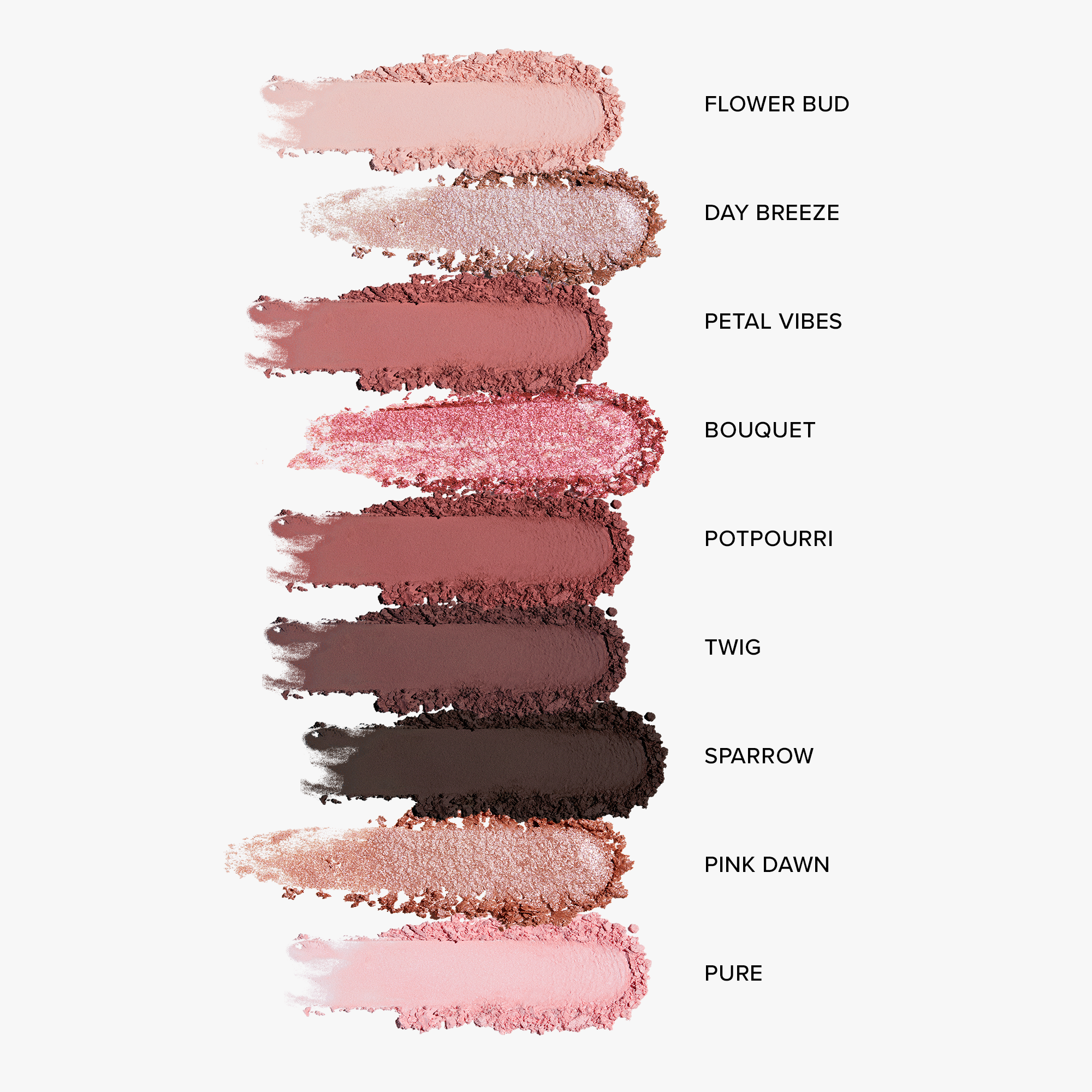 Palette of 8 shades